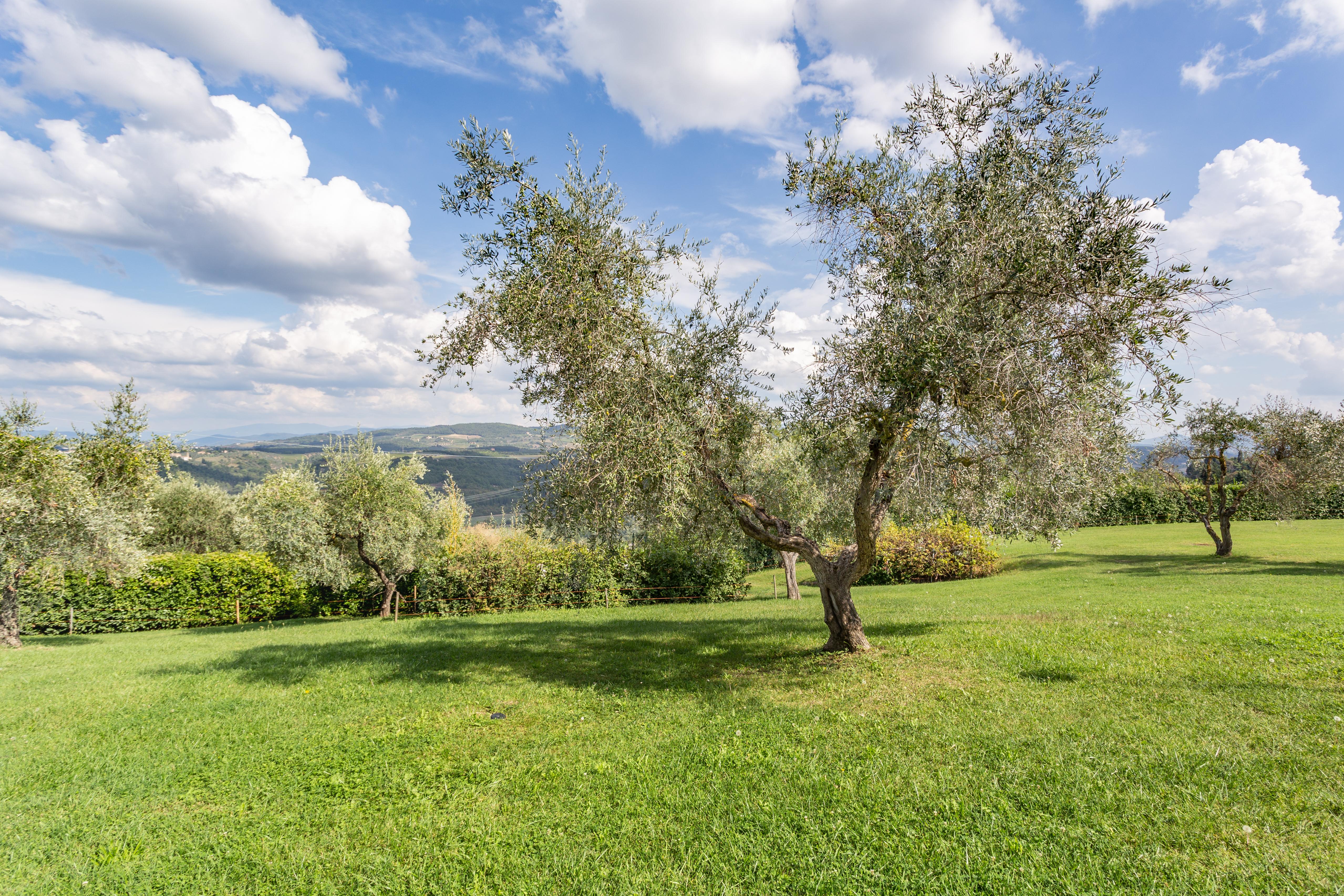 Tavarnelle Val di Pesa Fattoria Querceto 게스트하우스 외부 사진